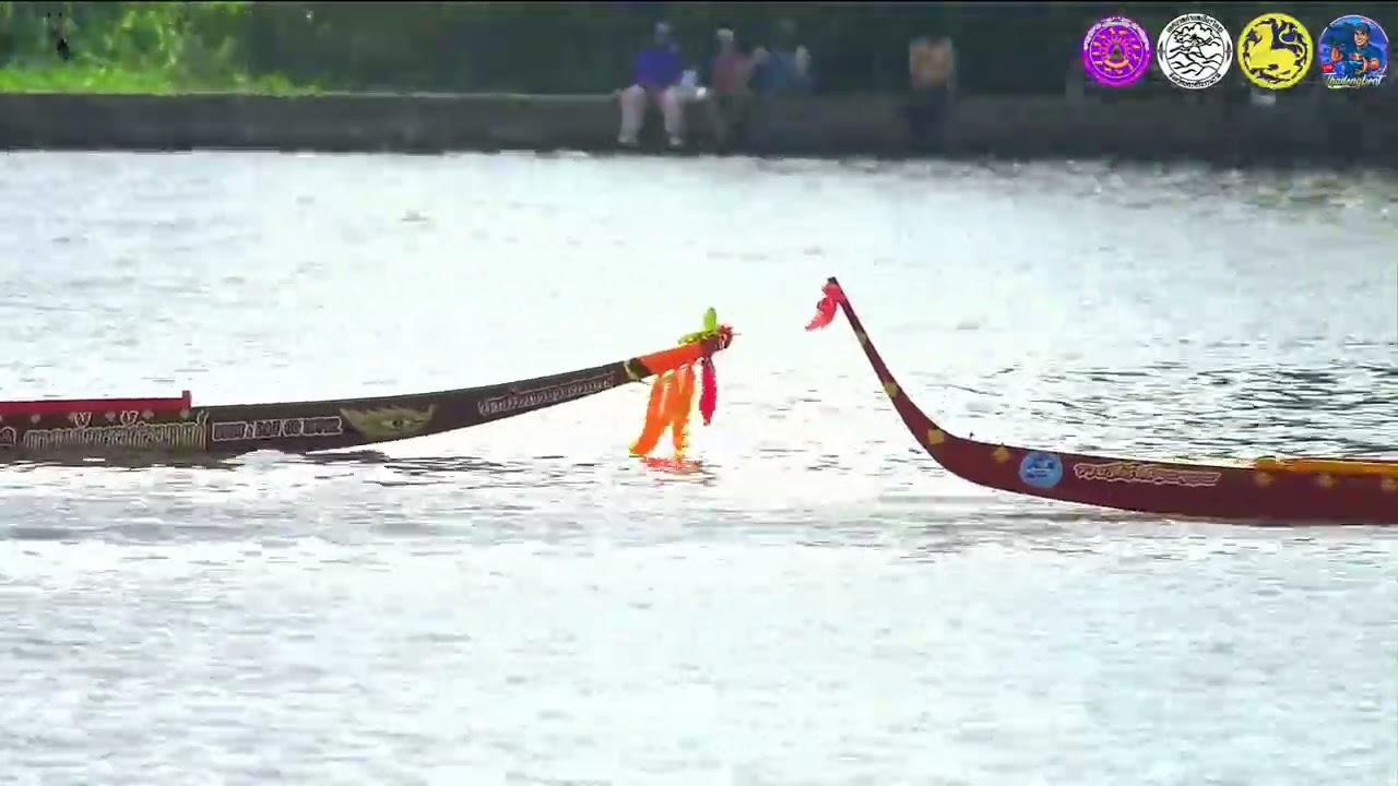 ThailongboatChanel คลิปไฮไลท์ “ราชาเทพ” มาดูฟอร์มแชมป์ ชุดยอดสุราษฎร์ + ชุดช่างบางพระนอน เรือเพรียว 16 ฝีพาย
